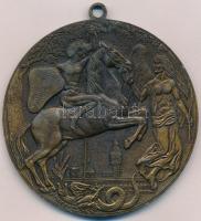 DN "Olimpiai Játékok London 1908" Br emlékérem füllel (80mm) T:2 k.
ND "Olympic Game...