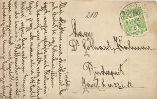 1912 Révfülöp, Herceg villa, photo