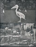 Budapesti XIV. Állatkert - 22 db lap