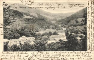 Vihnyefürdő, Vyhnye;  Fürdő, látkép / spa, general view (EK)