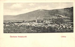 Pelsőc, Plesivec; Látkép, kiadja Pártos Mór / general view (EK)