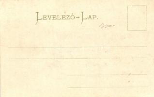 Budapest XIV. Ős-Budavár, lovaskocsi, villamos