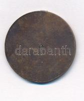 DN "Jó Munkát! - Légy Résen!" Br cserkész emlékérem, fül nélkül (35mm) T:2