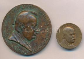 Kisfaludi Strobl Zsigmond (1884-1975) 1926. "Korányi Sándor születésének 60. évfordulójára" Br egyoldalas emlékplakett. "BARONI ALEXANDRO KORÁNYI IN MEMORIAM ANNI SEXAGESIMI NATIVITATIS FAMULI GRATIAM AGENTES" (60mm) + 1968. "Semmelweis Ignácz Fülöp 1818-1865 / 'Septimana Solemnis' Semmelweis Budapest, 1968" Br emlékérem fül nélkül (30mm) T:2 patina, ph.