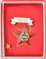 9db-os vegyes magyar jelvény tétel, közte "Úttörő Gárda - Határőr", "Gyermekekért Érd...