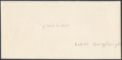 "G" jelű őrnaszád, fotó, 11x23cm