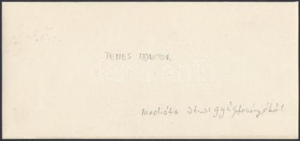 Temes Monitor, fotó, 11x23cm