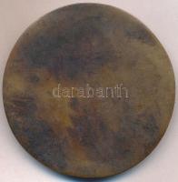 DN "Ifjúságért" Br plakett (62mm) T:2