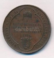 Wenzel Seidan (1817-1870) 1876. "Máramaros Megye és Sziget Kor. Városa - Magyar Orvosok és Term...