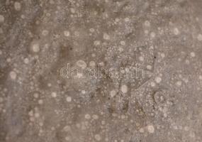 Pál Ferenc(1914-2008) kerámia fali tál, kézzel festett, jelzett, hátoldalon apró lepattanással, 22x2...