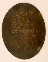 Franz Schubert(1797-1828) zeneszerző, bronzírozott fém falikép, 29x23 cm