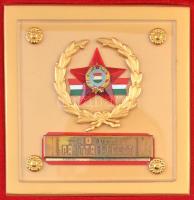 ~1980. "40 éves párttagságért" aranyozott díjplakett, adományozói tokban (119x119mm) T:2