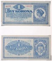 1918-1926. Korona bankjegy gyűjtemény 20f-1000K (~60x) névértékekben, házi készítésű albumban T:II-III-