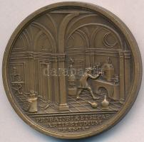 DN "Mária Terézia / A kémlészettan tanulmányi érme" Br emlékérem, a Selmecbányai Bányászat...