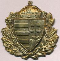 DN "Magyar címer" aranyozott Br címer (49x51mm) T:2