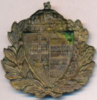 DN "Magyar címer" aranyozott Br címer (49x51mm) T:2