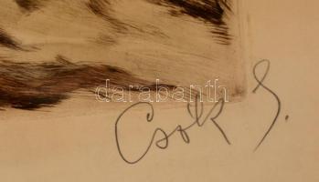 Csók István (1865-1961) - Prihoda István (1891-1956): Báthory Erzsébet. Színezett rézkarc, papír, je...