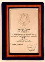 2010 Fém emlékplakett a Köztársasági Őrezred volt tagja részére, díszdobozban, 29,5×19,5 cm