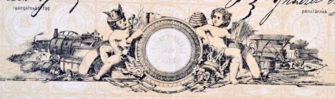 Tamási 1897. "A Tamási Takarékpénztár" részvénye 100K-ról szárazpecséttel, felülbélyegzéss...