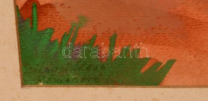 Szilágyi Ilona (?-): Eredei ház. Akvarell, papír, jelzett, keretben, 41×28 cm