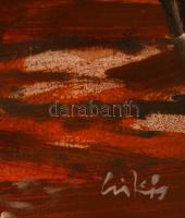 Csikós András (1947-2006): Ártéri séta. Olaj, farost, jelzett, keretben, 40×50 cm