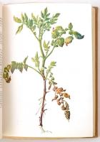 Dr. Hifner Kálmán, Csák Zoltán: A burgonya tő-, és levélbetegségei, károsodásai. Országos Növényfajt...