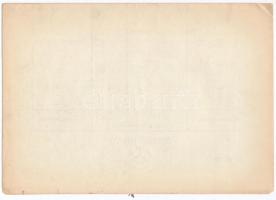 Budapest 1916. "Budapesti Czipészmesterek Anyagbeszerző- és Termelő-Szövetkezete" részjegy...