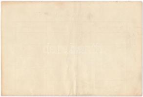 Budapest 1916. "Budapesti Czipészmesterek Anyagbeszerző- és Termelő-Szövetkezete" részjegy...