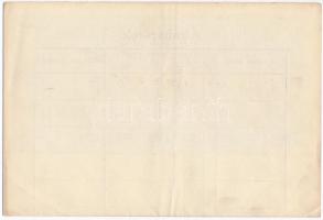 Budapest 1916. "Budapesti Czipészmesterek Anyagbeszerző- és Termelő-Szövetkezete" részjegy...