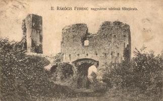 Nagysáros, Velky Saris; II. Rákóczi Ferenc kastélya, kiadja Holénia Béla / castle (fl)