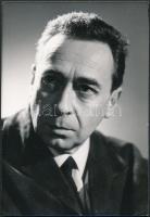 cca 1970 Máriássy Félix filmrendezőről készült 4 db szabadon felhasználható vintage negatív, + 1 db ...