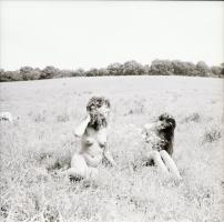 1986 Pucér lányok kint a réten, finoman erotikus felvételek, 13 db vintage negatív, 6x6 cm