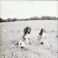1986 Pucér lányok kint a réten, finoman erotikus felvételek, 13 db vintage negatív, 6x6 cm