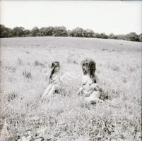 1986 Pucér lányok kint a réten, finoman erotikus felvételek, 13 db vintage negatív, 6x6 cm