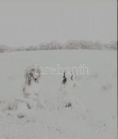 1986 Pucér lányok kint a réten, finoman erotikus felvételek, 13 db vintage negatív, 6x6 cm