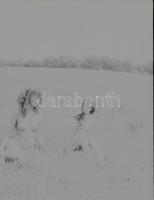 1986 Pucér lányok kint a réten, finoman erotikus felvételek, 13 db vintage negatív, 6x6 cm