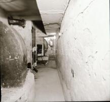 1982 Budapest, Kultúra mozi külső-belső felvételei, 6 db szabadon felhasználható negatív, 6x6 cm