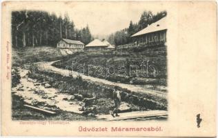 Tótosbánya, Zserampo-völgy (Nemesbudafalva); Aranybánya, kiadja Berger Miksa / gold mine (r)