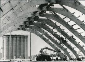 cca 1979 Kalocsán tárolót építenek 1500 vagon műtrágyának, vintage fotó, 17x23 cm