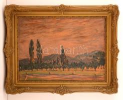 Sass Brunner Ferenc (1882-1963): Dombos táj. Olaj, karton, jelzett, keretben, 33×46 cm