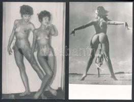 cca 1965 Szexi lányok tétele, 21 db finoman erotikus fénykép, 14x9 cm / 21 erotic photos, 14x9 cm