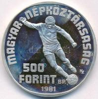 1981. 500Ft Ag "Labdarúgó VB - 1 játékos" T:PP ujjlenyomat, felületi karc
Adamo EM65