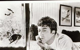 ,,Diploma előtt" című film állóképei, 26 db negatív, ezekről készültek a mozik előcsarnokában k...