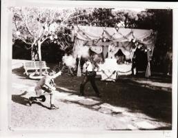 ,,A keresztapa másik arca" című olasz-francia film állóképei, 50 db negatív, ezekről készültek ...