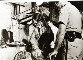 ,,Gyémánt Lady" című amerikai film állóképei, 44 db negatív, ezekről készültek a mozik előcsarn...