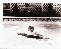 ,,Gyémánt Lady" című amerikai film állóképei, 44 db negatív, ezekről készültek a mozik előcsarn...