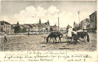 Arad, József főherceg út / street (b)