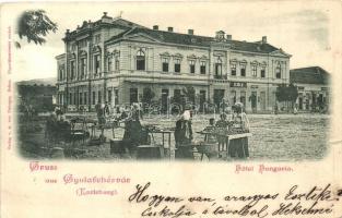 Gyulafehérvár, Karlsburg, Alba Iulia; Hungária szálló, piac, Cs. Kiss M. üzlete / hotel, market, shops (EK)