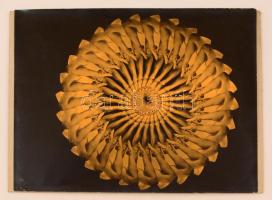 cca 1969 Nagy Ottó (1927-2013): Napraforgó, feliratozott vintage fotóművészeti alkotás, kasírozva, 29,5x38 cm, karton 29,5x40 cm