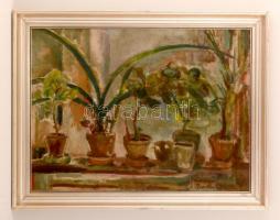 Barta Mária (1897-1969): Szobanövények. Olaj, vászon-karton, jelzett, keretben, 60×80 cm